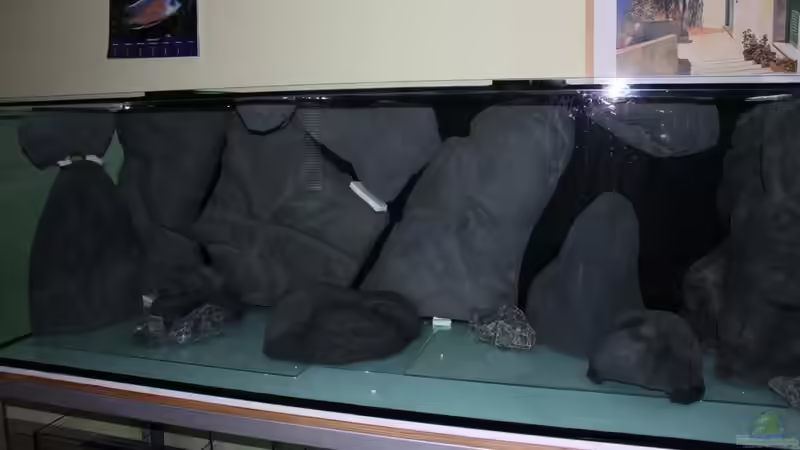 Dekoration im Aquarium Non Mbuna -1600 von Vision112 (16)