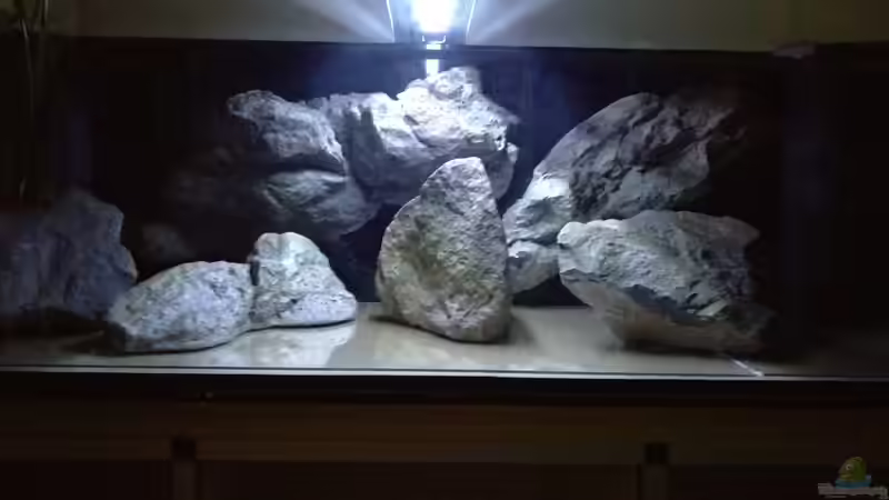 Dekoration im Aquarium NonMbuna by Tobi von TK (6)