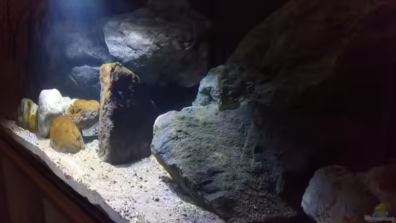 Dekoration im Aquarium NonMbuna by Tobi von TK (8)