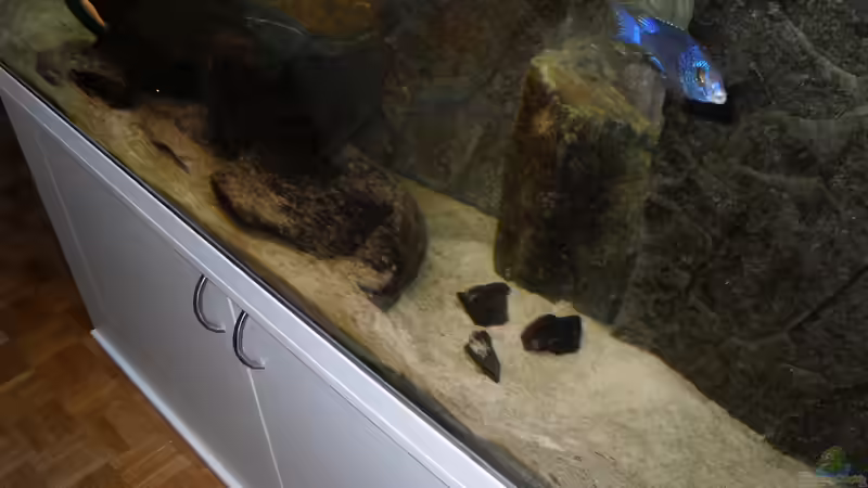 Dekoration im Aquarium NonMbuna-Style (aufgelöst) von Dr. Manhattan (12)