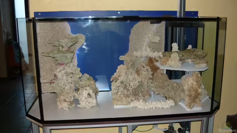 Dekoration im Aquarium No´s Reef von TheNo (3)