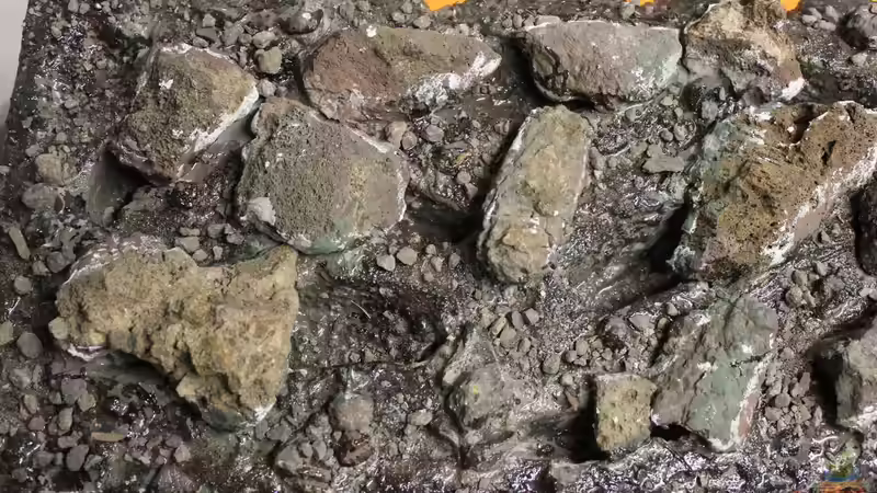 Dekoration im Aquarium Panaqolus Heaven von maxheadroom (29)