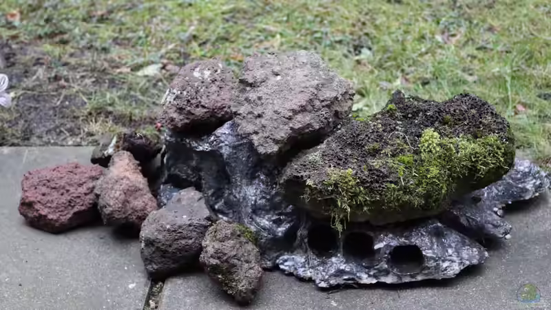 Dekoration im Aquarium Panaqolus Heaven von maxheadroom (37)