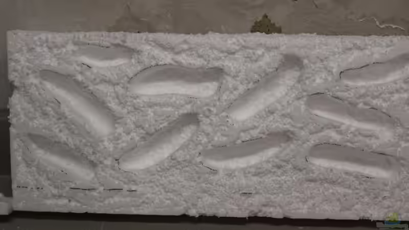 Dekoration im Aquarium Panaqolus Heaven von maxheadroom (43)