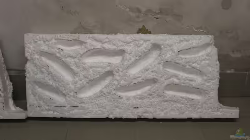 Dekoration im Aquarium Panaqolus Heaven von maxheadroom (54)