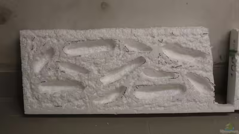 Dekoration im Aquarium Panaqolus Heaven von maxheadroom (65)