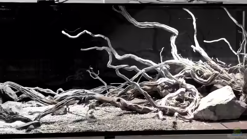 Dekoration im Aquarium Piranha-Aquarium von Cariba (14)