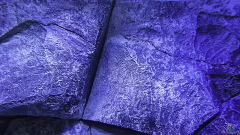 Dekoration im Aquarium Placidochromis Dream aufgelöst von Okrim (21)