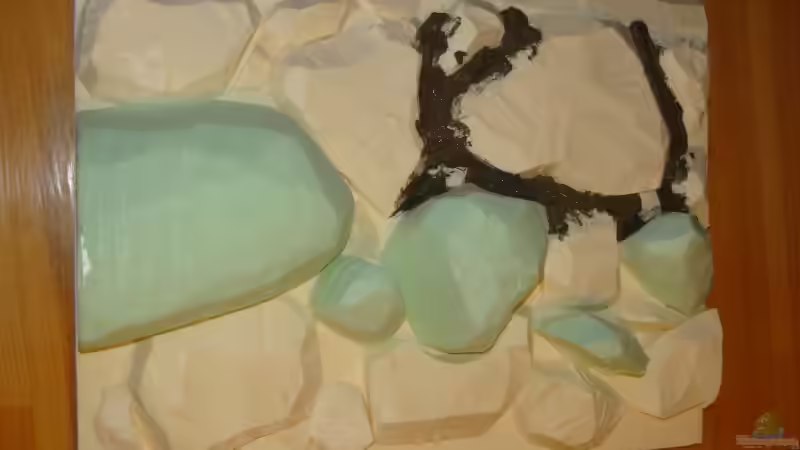 Dekoration im Aquarium Procambarus Clarkii II von manzanarez (13)