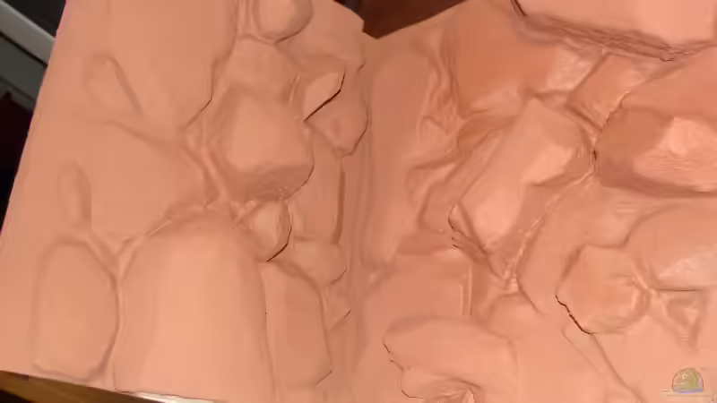 Dekoration im Aquarium Procambarus Clarkii II von manzanarez (16)