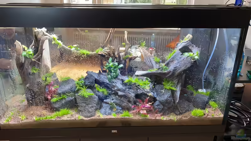 Dekoration im Aquarium Raumtrenner von JustTheD (2)