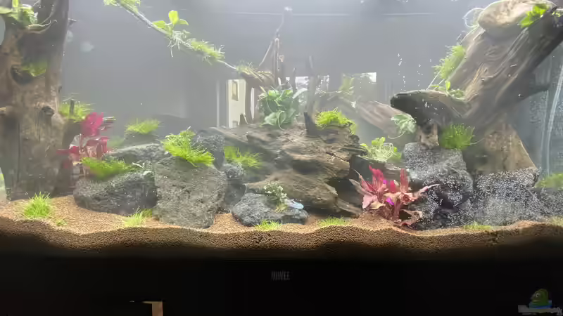 Dekoration im Aquarium Raumtrenner von JustTheD (3)