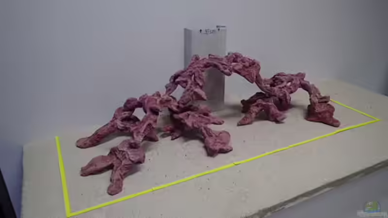 Dekoration im Aquarium Reef Dream von The_Lizardking (11)