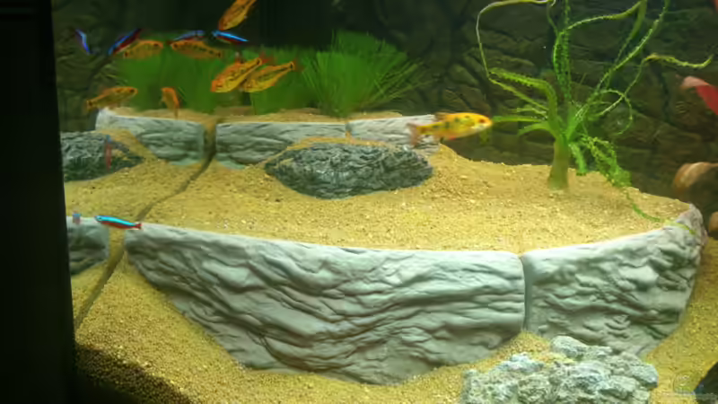 Dekoration im Aquarium Rio 125 von Nero (5)