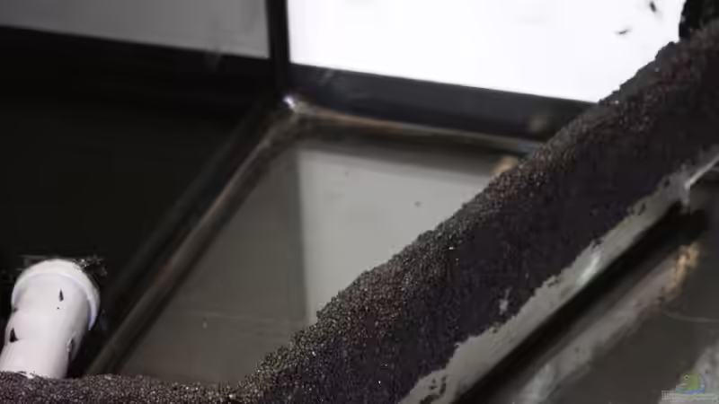 Dekoration im Aquarium Rio 300 - Ein Traum wird wahr von Mario_83 (6)