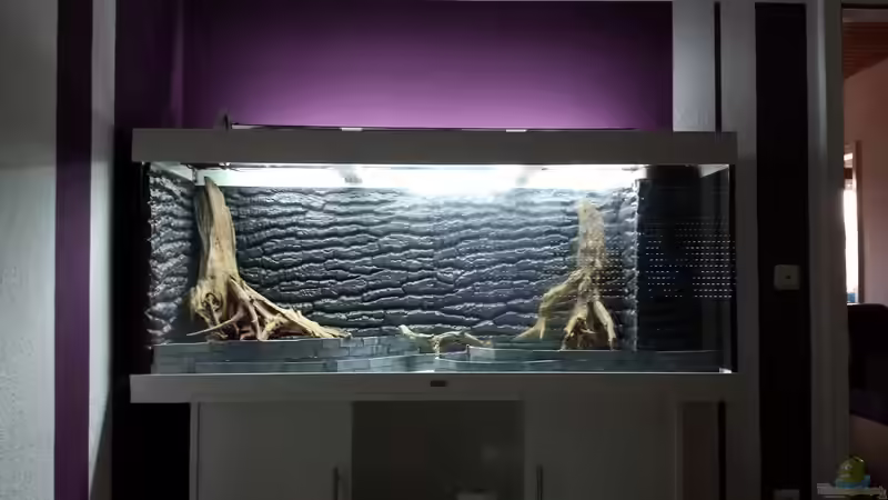 Dekoration im Aquarium Rio 400 Black &amp; White von sonic85 (29)