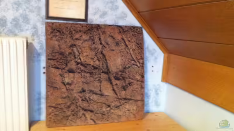 Dekoration im Aquarium Rio Orinoco von Exotist (2)