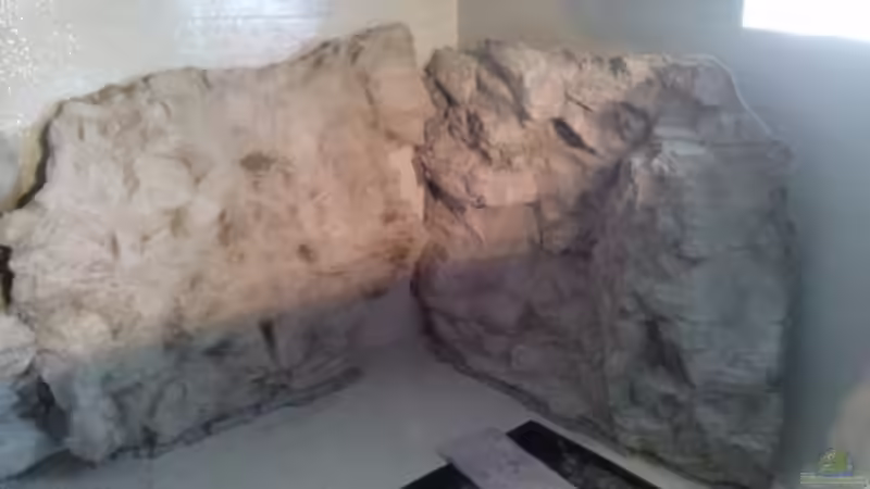 Dekoration im Aquarium Rochen Becken,Potamotrygon von Hayabusa (26)