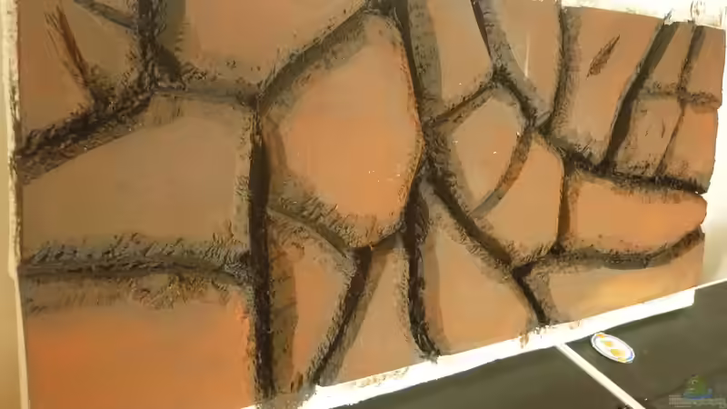 Dekoration im Aquarium Rooty &amp; Calulous von Rootsman (6)