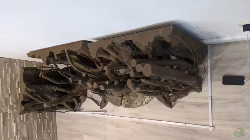 Dekoration im Aquarium Salmerbecken von Hedylein (7)