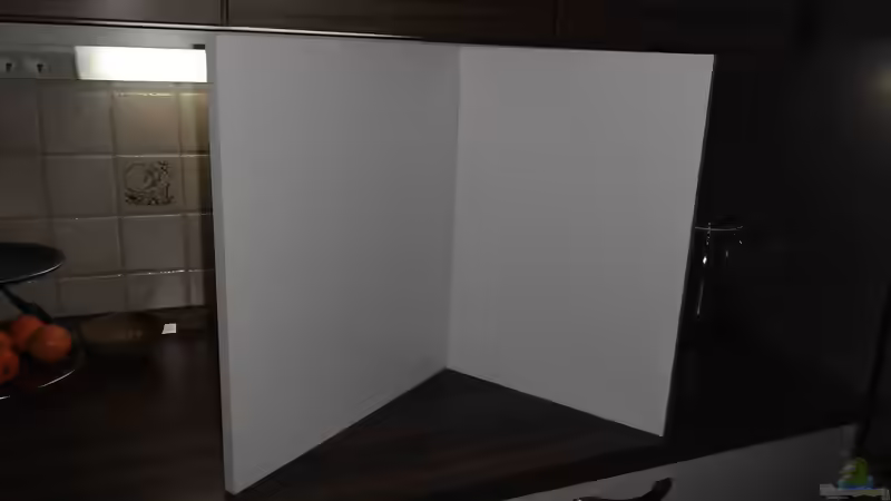 Dekoration im Aquarium Salmler-Suppe (Okt.2015 abegaut) von Markus J. (12)