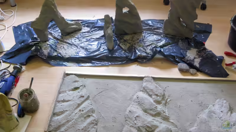 Dekoration im Aquarium Sand - und Freiwasserzone im Tanganjikasee von Miriam (10)