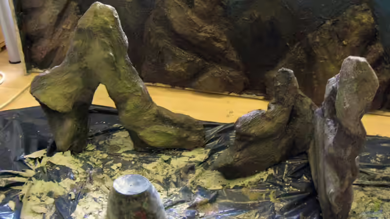 Dekoration im Aquarium Sand - und Freiwasserzone im Tanganjikasee von Miriam (12)