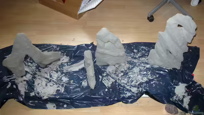 Dekoration im Aquarium Sand - und Freiwasserzone im Tanganjikasee von Miriam (9)