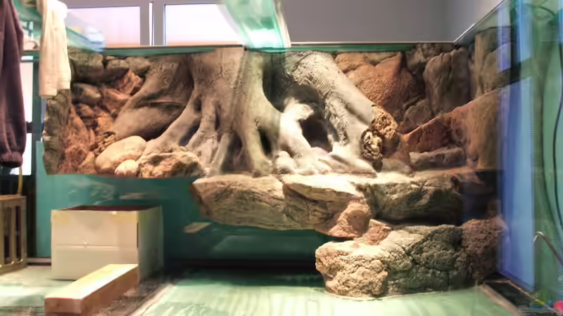 Dekoration im Aquarium schauanlage von o.m. (4)