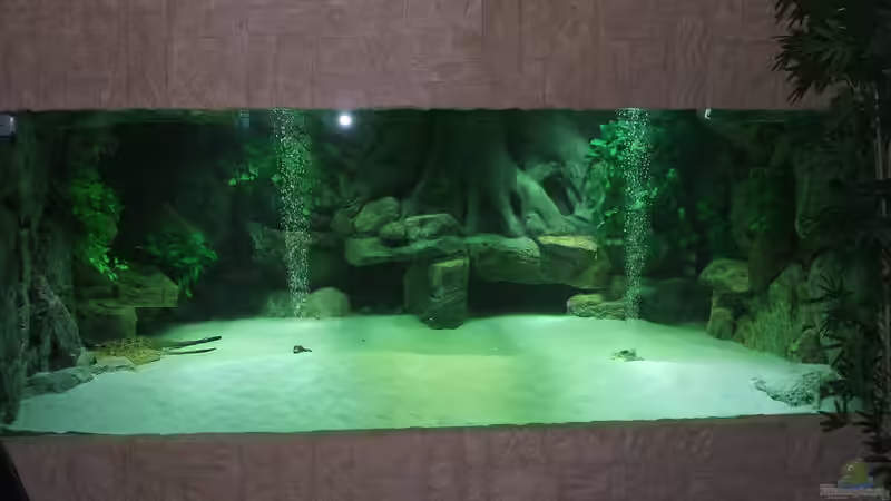 Dekoration im Aquarium schauanlage von o.m. (6)