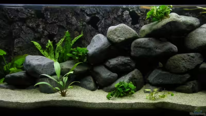 Dekoration im Aquarium Second chance von Zerta (4)