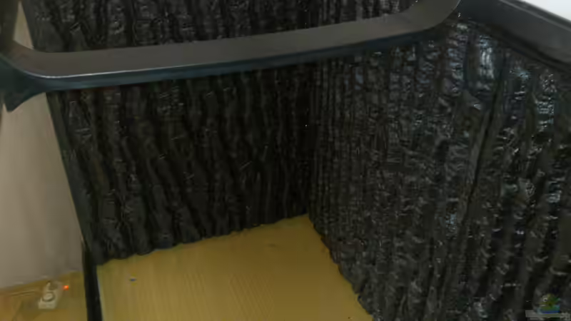 Dekoration im Aquarium Serrasalmus - the one and lonely von NRW (20)