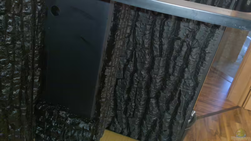 Dekoration im Aquarium Serrasalmus - the one and lonely von NRW (21)