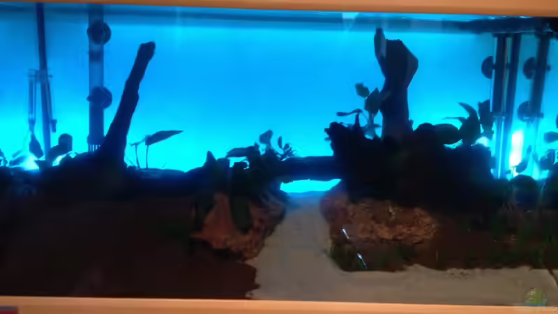 Dekoration im Aquarium South-America-Landscape von spanky_cruz (17)