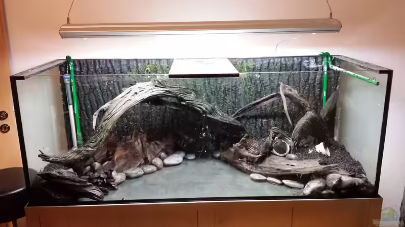 Dekoration im Aquarium Southamerican wood von NRW (25)