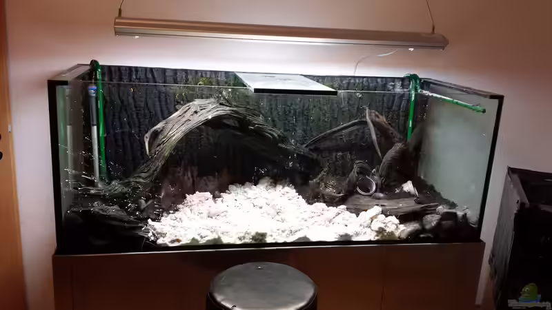 Dekoration im Aquarium Southamerican wood von NRW (26)