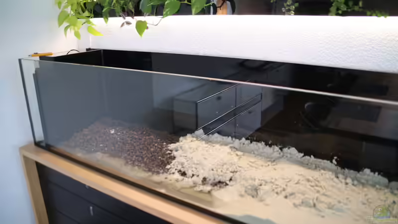 Dekoration im Aquarium Steinwurzel von Michinet (15)