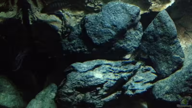 Dekoration im Aquarium stone bay area (closed due!!!) von der Steirer (61)