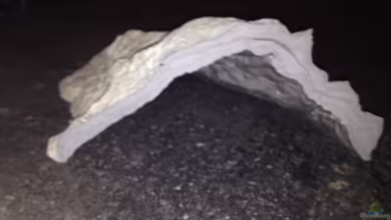 Dekoration im Aquarium stone bay area (closed due!!!) von der Steirer (64)