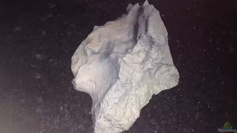 Dekoration im Aquarium stone bay area (closed due!!!) von der Steirer (65)