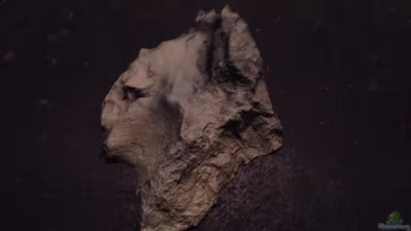 Dekoration im Aquarium stone bay area (closed due!!!) von der Steirer (66)