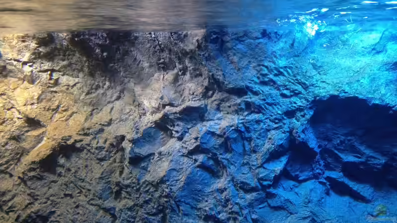 Dekoration im Aquarium stone bay area (closed due!!!) von der Steirer (81)