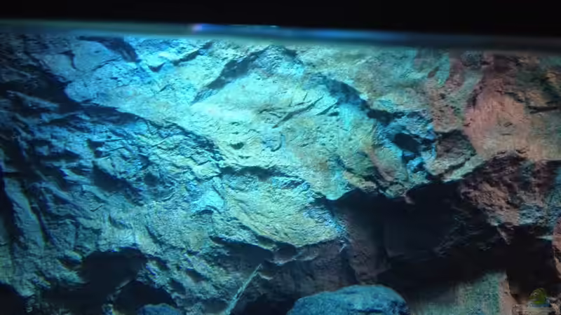 Dekoration im Aquarium stone bay area (closed due!!!) von der Steirer (83)