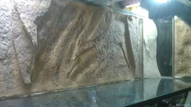 Dekoration im Aquarium Stones and Shells von Julien Preuß (10)