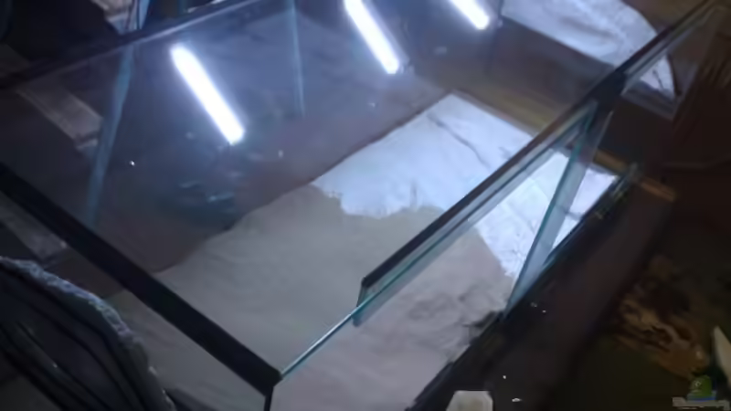 Dekoration im Aquarium Stones and Shells von Julien Preuß (7)