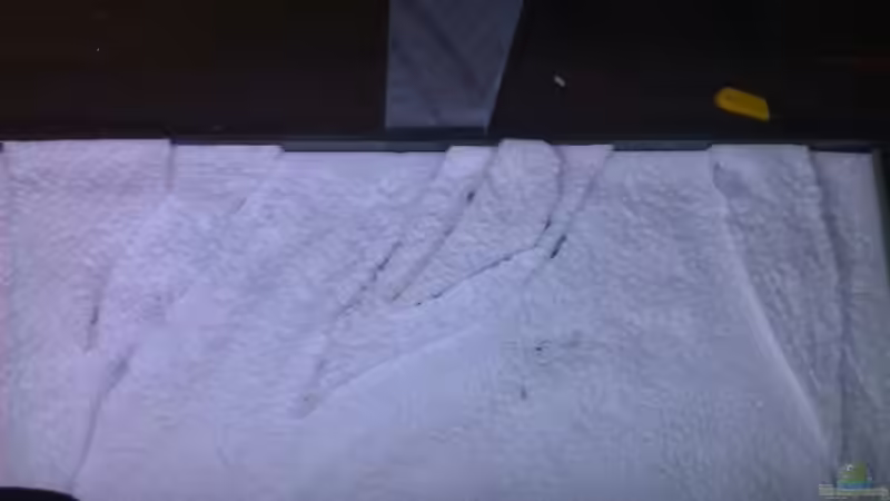 Dekoration im Aquarium Stones and Shells von Julien Preuß (8)