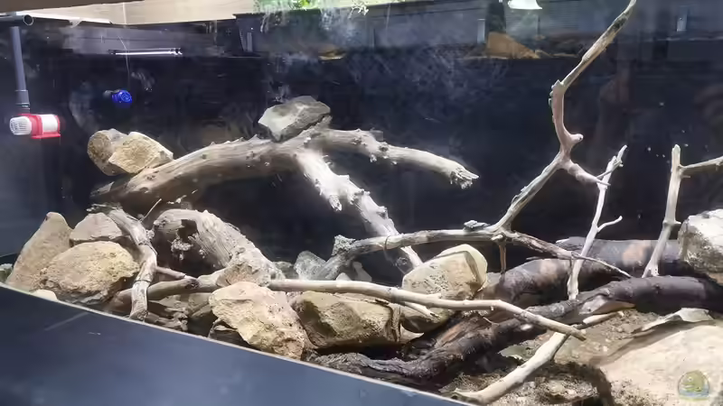 Dekoration im Aquarium Südamerika 4.0 von Thomas Michel (49)