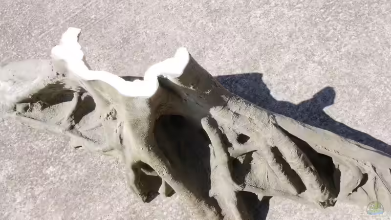 Dekoration im Aquarium Südamerika mit Kompromissen -) von Wabi (12)