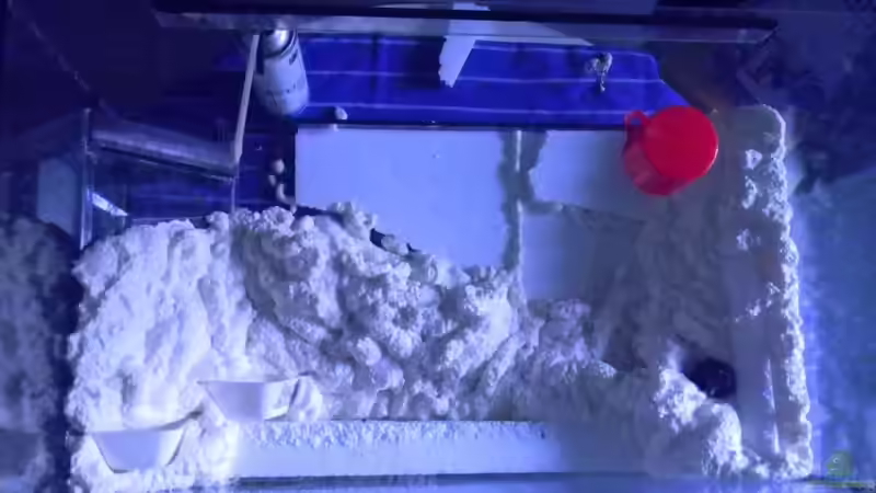 Dekoration im Aquarium Südamerika No3 Nur noch als Beispiel von Alfur (9)