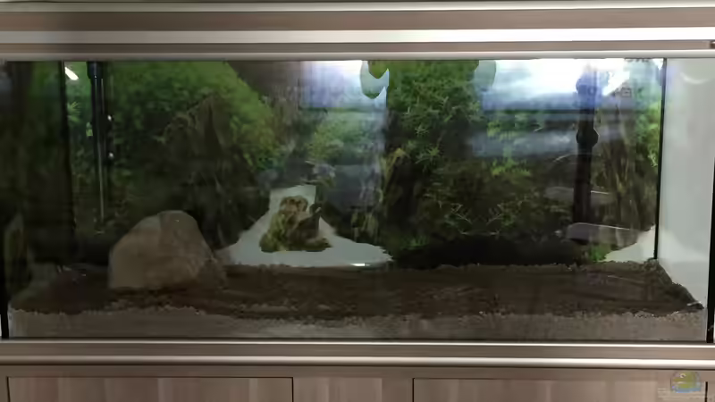Dekoration im Aquarium Südamerika-Traum von Nxsterr (5)